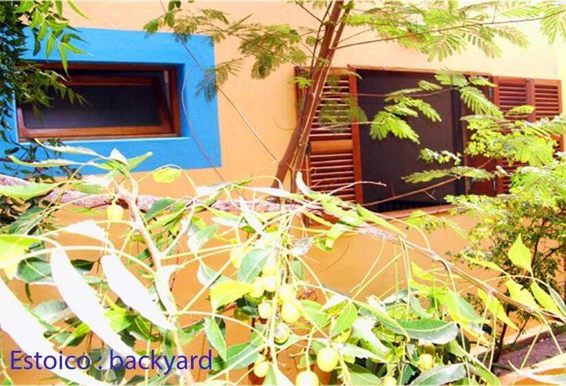 Номер Economy, Solar Windelo