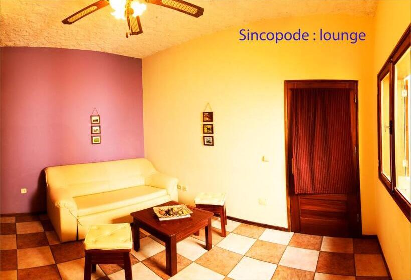 Полулюкс Вид на Сад, Solar Windelo