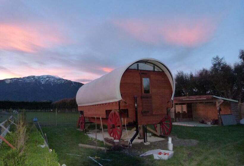 标准间, Wacky Stays   Unique Farm Stay Glamping Rentals, Free Animal Feeding Tours
