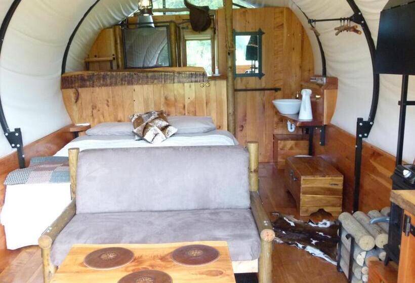 标准间, Wacky Stays   Unique Farm Stay Glamping Rentals, Free Animal Feeding Tours