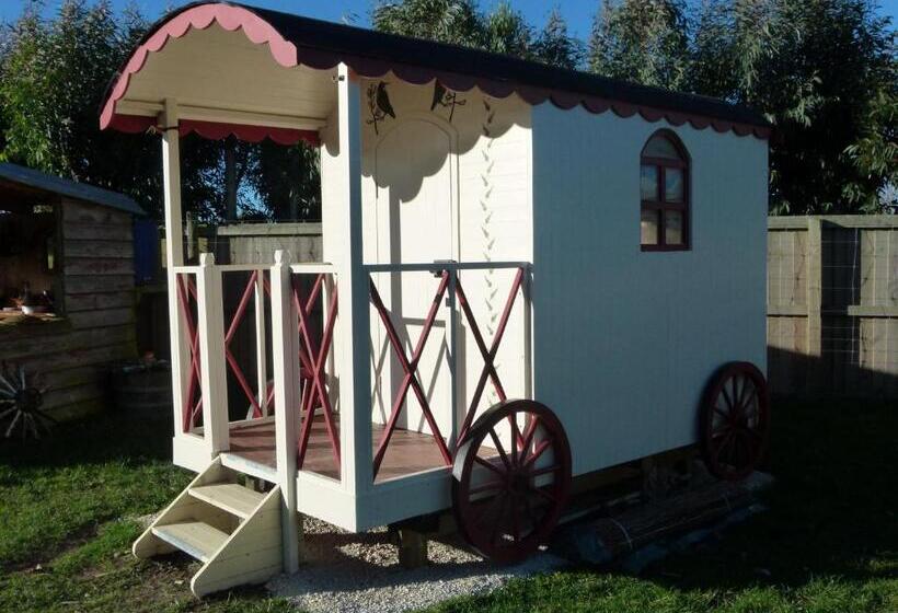 غرفة قياسية, Wacky Stays   Unique Farm Stay Glamping Rentals, Free Animal Feeding Tours