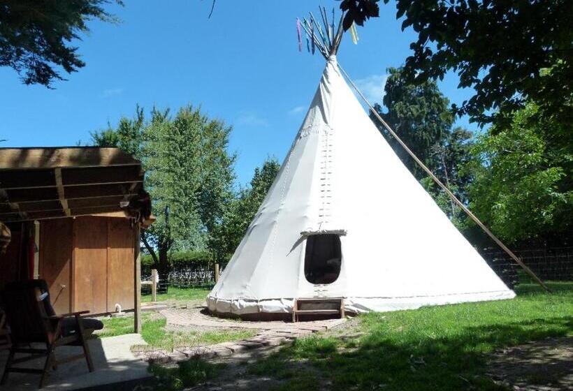 Standard Tent, Wacky Stays   Unique Farm Stay Glamping Rentals, Free Animal Feeding Tours