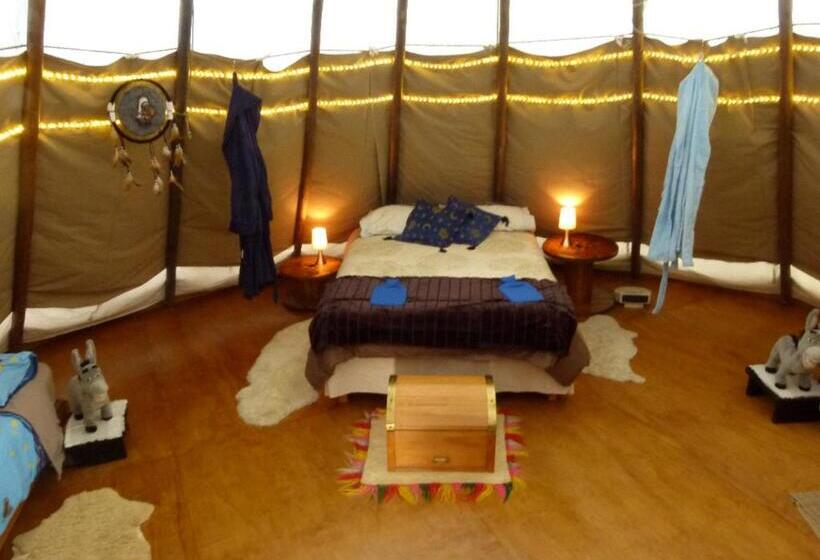 Standard Tent, Wacky Stays   Unique Farm Stay Glamping Rentals, Free Animal Feeding Tours