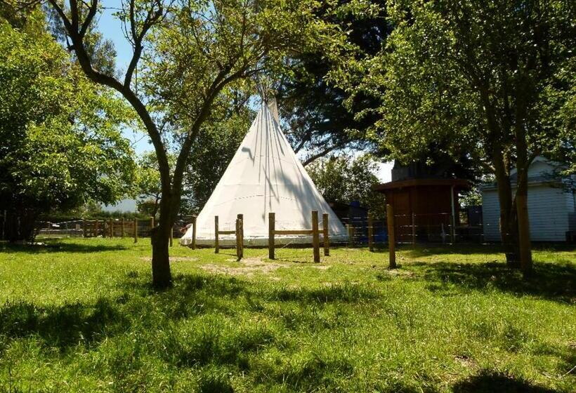 Standard Tent, Wacky Stays   Unique Farm Stay Glamping Rentals, Free Animal Feeding Tours