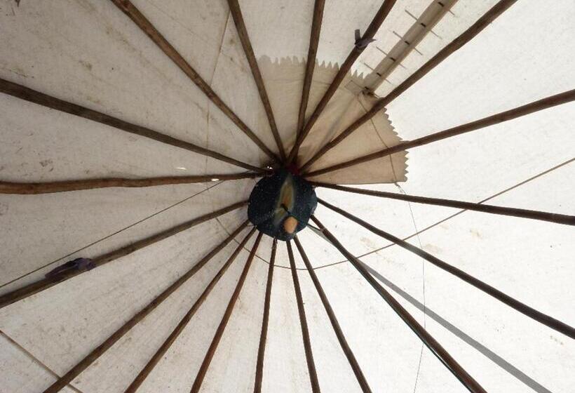 Standard Tent, Wacky Stays   Unique Farm Stay Glamping Rentals, Free Animal Feeding Tours