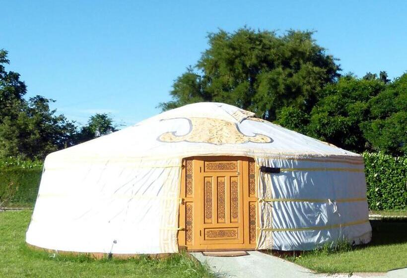غرفة قياسية, Wacky Stays   Unique Farm Stay Glamping Rentals, Free Animal Feeding Tours