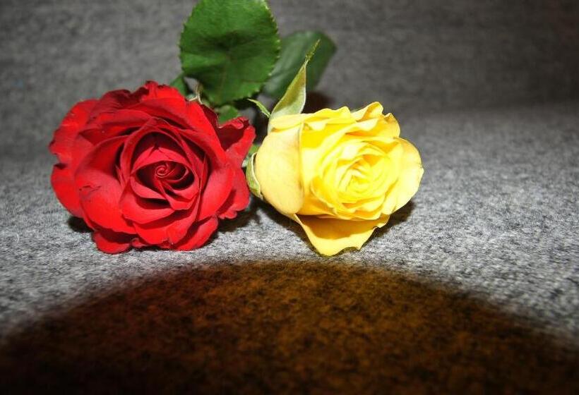 Апартаменты 2 Спальни с Балконом, Gästehaus Pilz Schladming