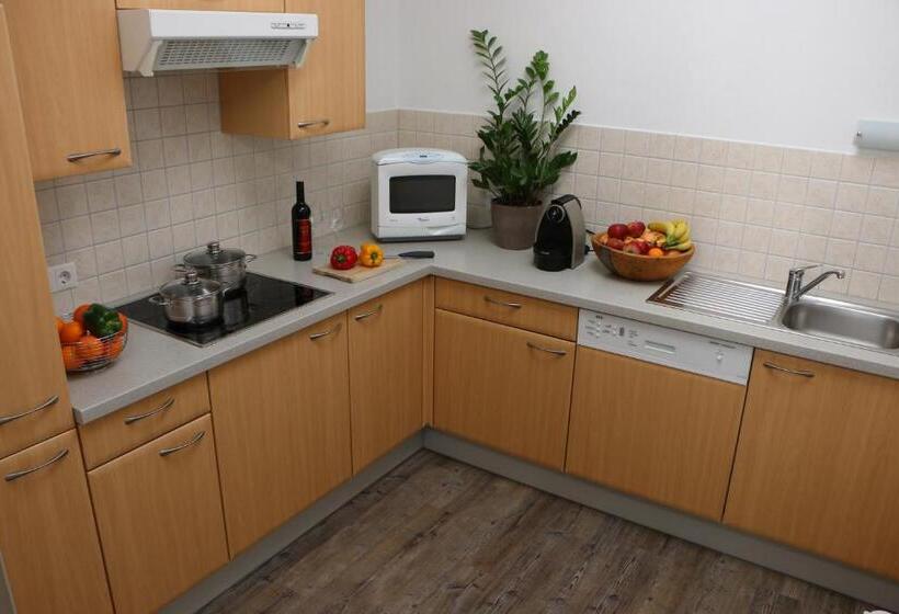 Апартаменты 2 Спальни с Балконом, Gästehaus Pilz Schladming