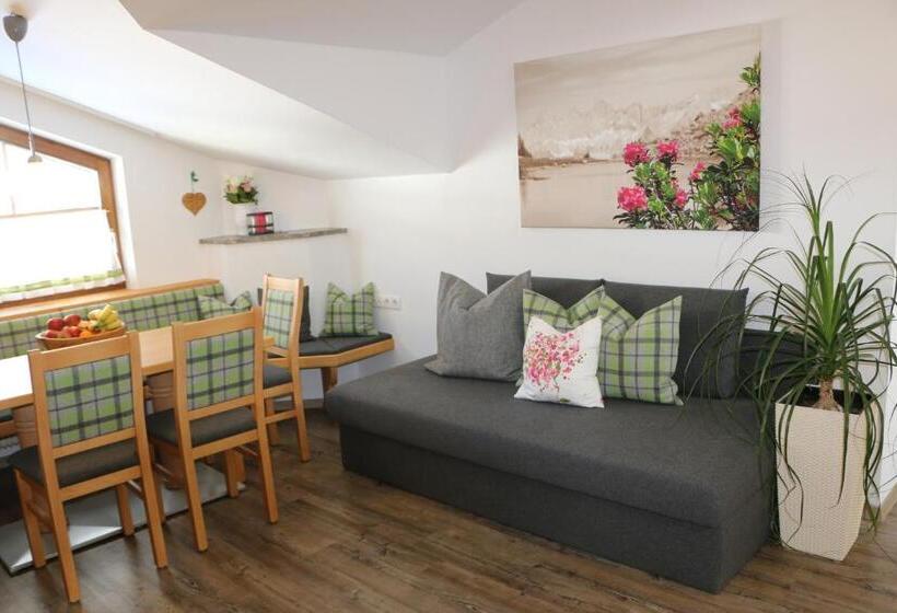 Апартаменты 2 Спальни с Балконом, Gästehaus Pilz Schladming