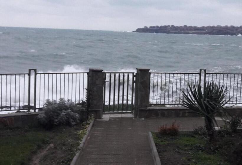 オーシャンビューバルコニー付スタンダードワンルーム, Guest House Skalite