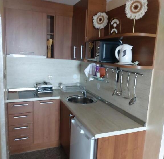 オーシャンビューバルコニー付スタンダードワンルーム, Guest House Skalite