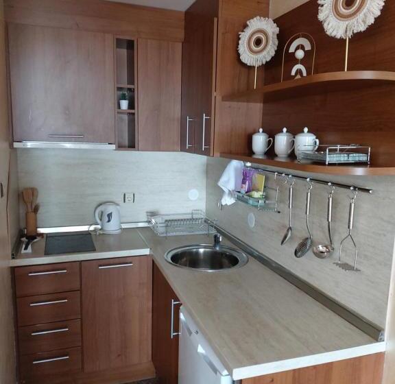 オーシャンビューバルコニー付スタンダードワンルーム, Guest House Skalite