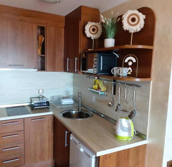 オーシャンビューバルコニー付スタンダードワンルーム, Guest House Skalite