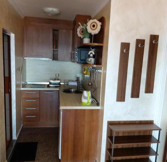 オーシャンビューバルコニー付スタンダードワンルーム, Guest House Skalite