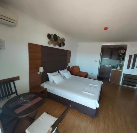 オーシャンビューバルコニー付スタンダードワンルーム, Guest House Skalite