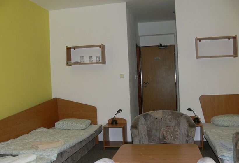 标准三人间, Penzion Agrothermal