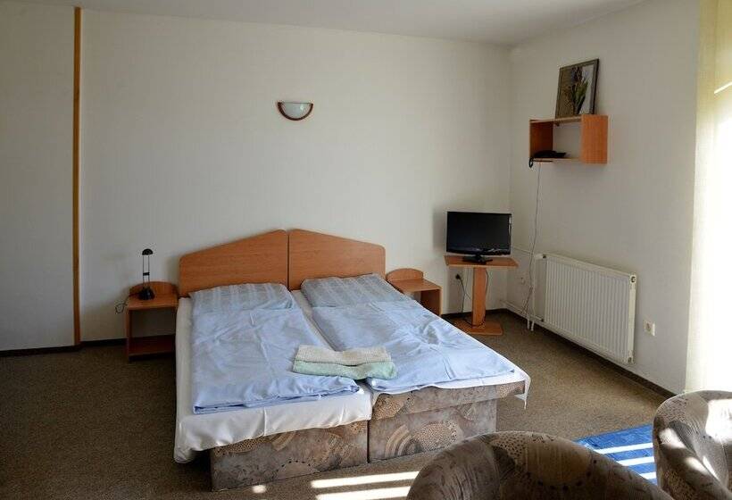 标准间, Penzion Agrothermal