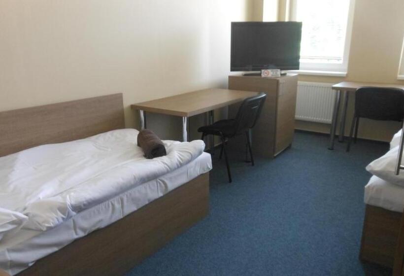 חדר סטנדרט מותאם לאדם עם מוגבלויות, Penzion S Wellness Uherské Hradiště