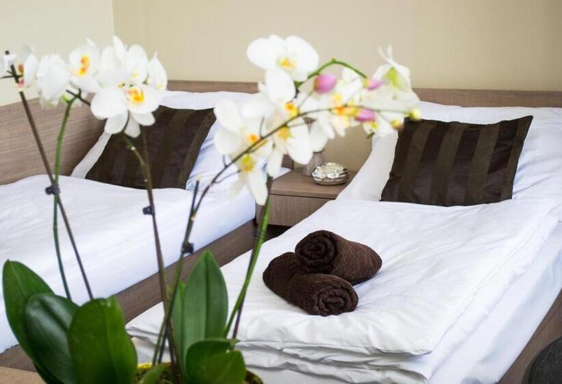 חדר סטנדרט מותאם לאדם עם מוגבלויות, Penzion S Wellness Uherské Hradiště