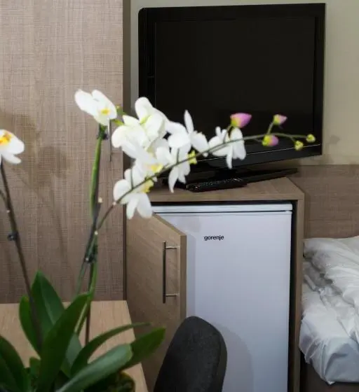 身障者適用スタンダードルーム, Penzion S Wellness Uherské Hradiště