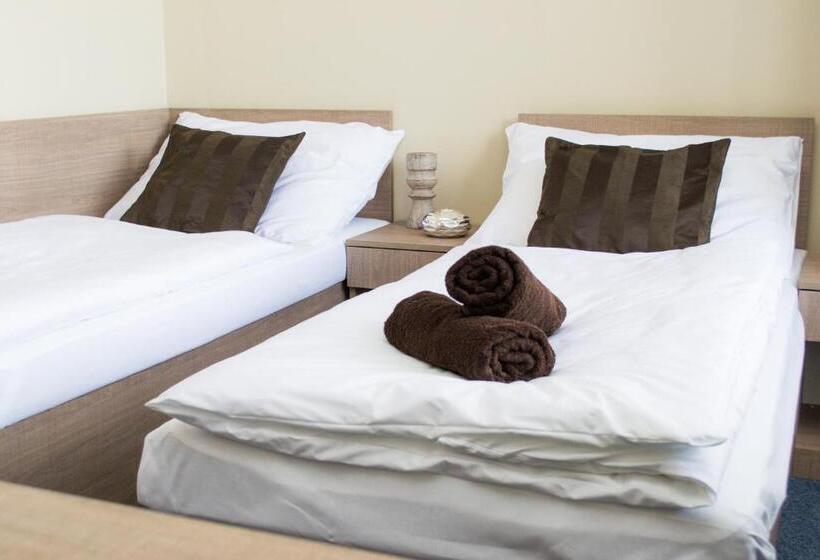 חדר סטנדרט מותאם לאדם עם מוגבלויות, Penzion S Wellness Uherské Hradiště