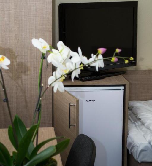 חדר סטנדרט חדר אמבטיה משותף, Penzion S Wellness Uherské Hradiště