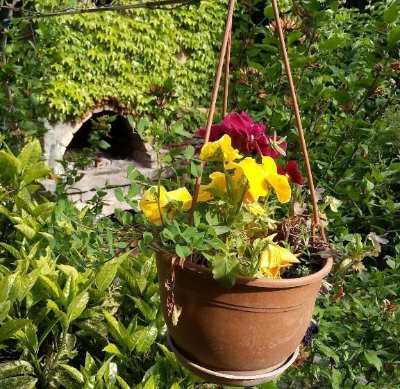 اتاق استاندارد سه نفره, Tamar Guest House