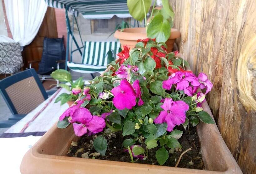 اتاق استاندارد سه نفره, Tamar Guest House