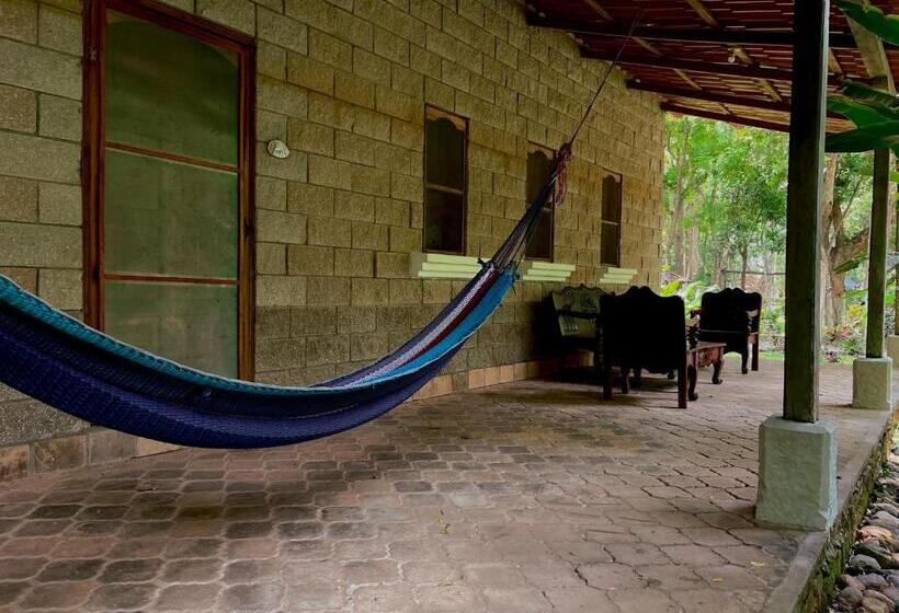 اتاق خانوادگی, El Bosque