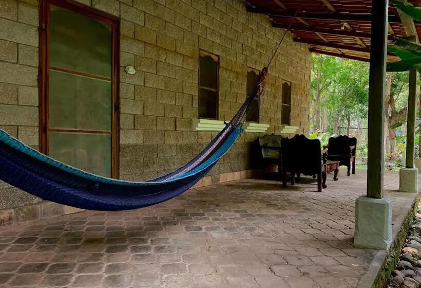 اتاق خانوادگی, El Bosque
