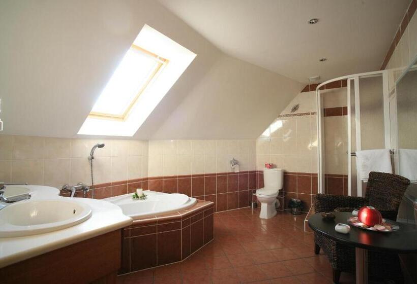 חדר סופריור, Ferdinand Penzion