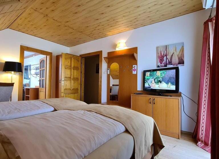 חדר סופריור, Ferdinand Penzion