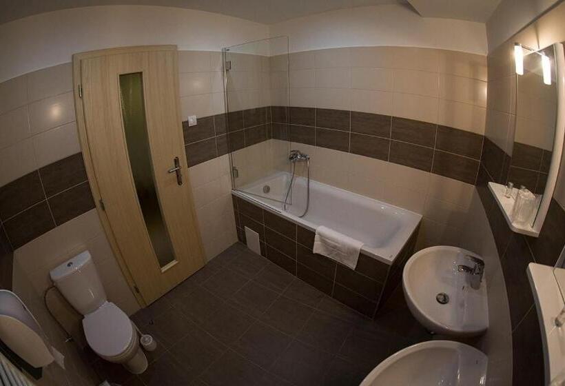 غرفة كومفورت, Ferdinand Penzion