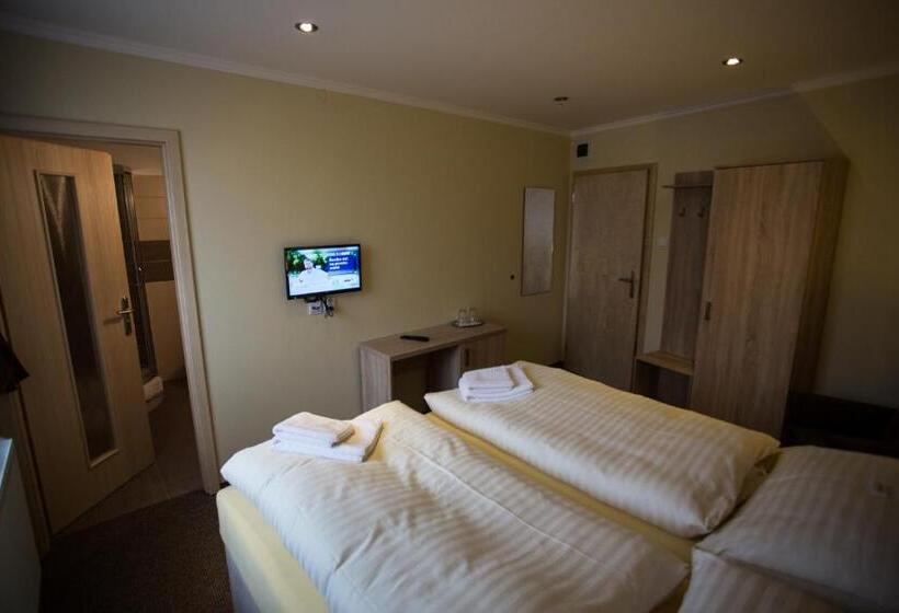 غرفة كومفورت, Ferdinand Penzion