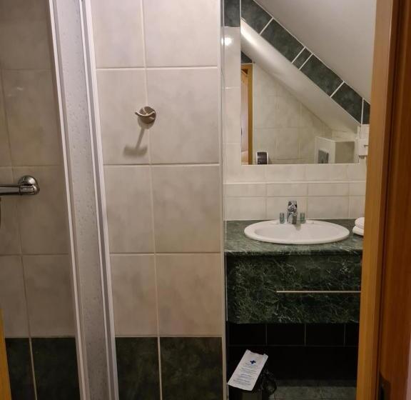 חדר סטנדרט נוף לגינה, Ferdinand Penzion