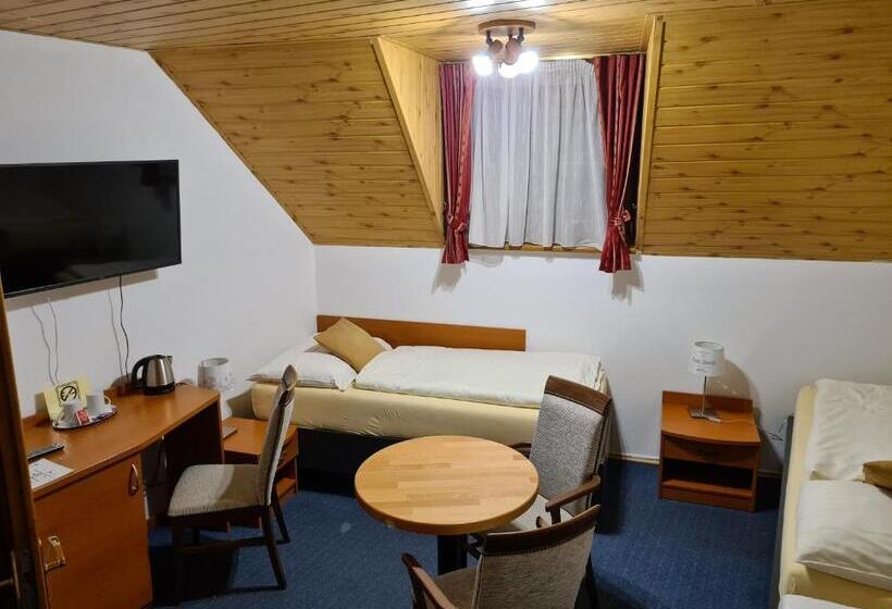 غرفة قياسية ثلاثية, Ferdinand Penzion