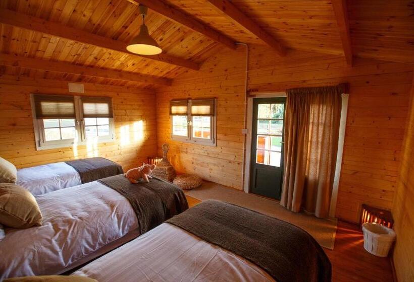 Хижина, Giltraps Townhouse & Glamping
