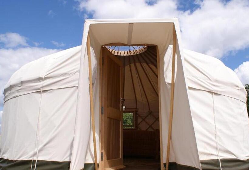 Номер Стандарт, Giltraps Townhouse & Glamping