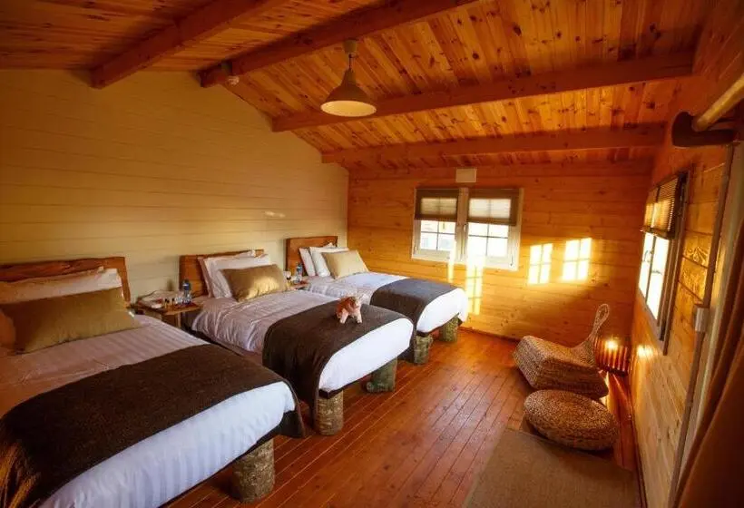 シャレー・スペリアー1寝室, Giltraps Townhouse & Glamping