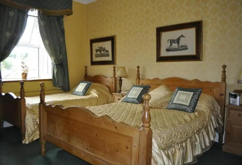 Standard-huone, Highfield House Guesthouse