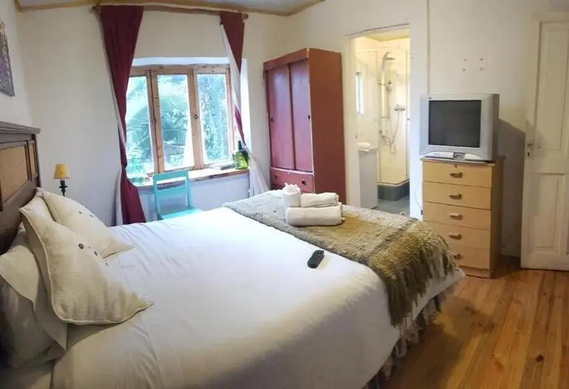 スタンダードルーム, Hostel Moreno