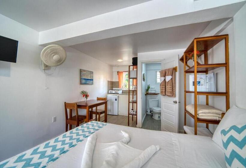 استودیوی استاندارد, Placencia Villas