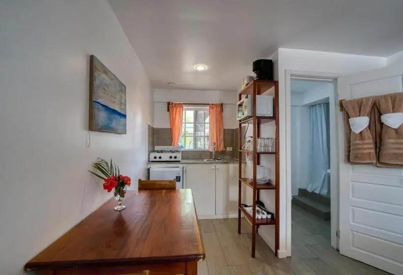 استودیوی استاندارد, Placencia Villas
