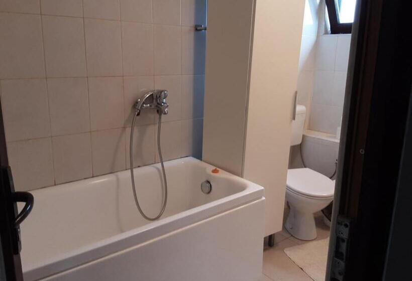 Номер Стандарт Трехместный, Pensiunea Giovani