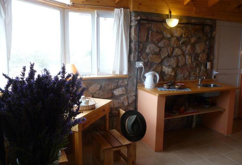 اتاق لوکس, La Calandria Casa De Campo