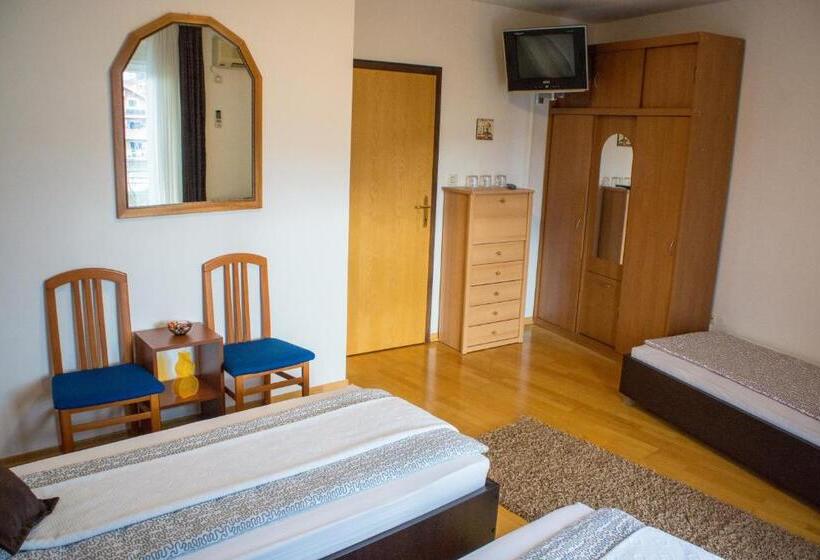 اتاق استاندارد سه تخته با سرویس بهداشتی مشترک, Elite Guest House