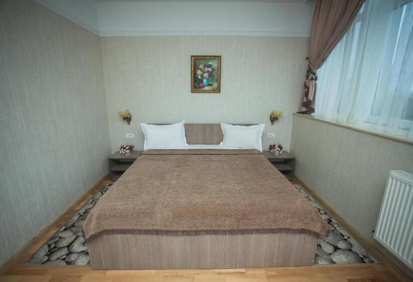 Номер Deluxe Одноместный, Pensiunea Bianca