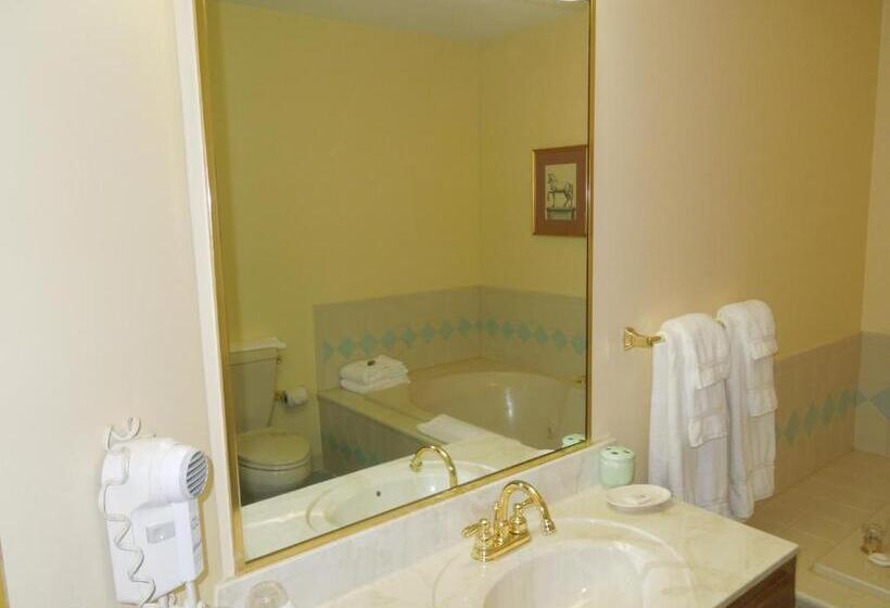 חדר סטנדרט עם ג'קוזי, Guest Quarters At The Bridges Golf Club