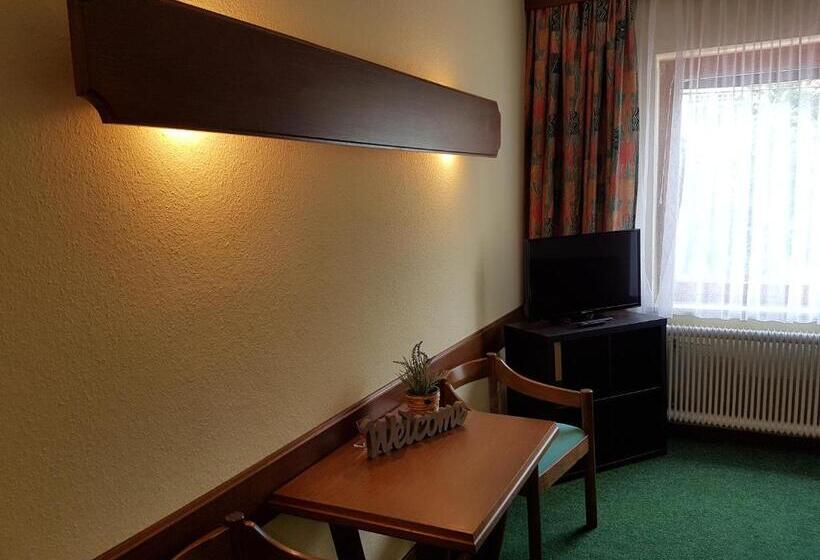 스탠다드 룸, Helenental Pension & Apartments