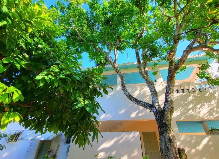 اتاق استاندارد, Green's Palace Jamaica